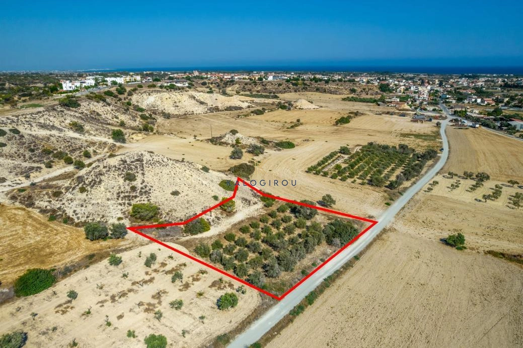 2,788m² Plot for Sale in Mazotos, Larnaca District