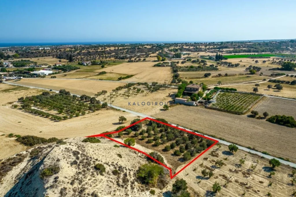 2,788m² Plot for Sale in Mazotos, Larnaca District
