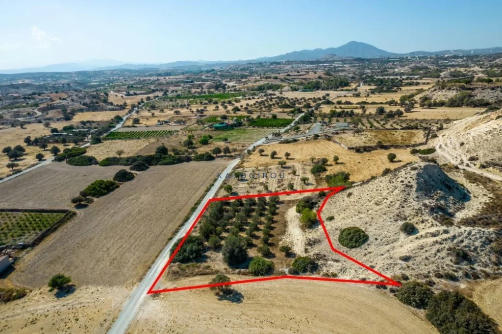 2,788m² Plot for Sale in Mazotos, Larnaca District
