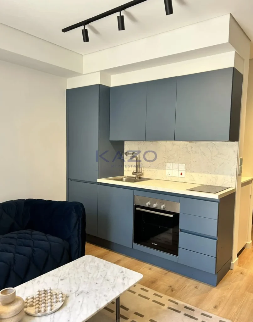 1 Bedroom Apartment for Rent in Limassol District
