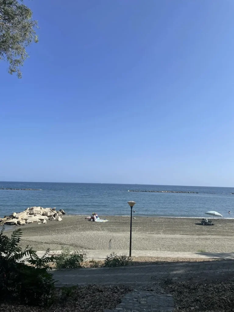 3 Bedroom Apartment for Rent in Limassol District
