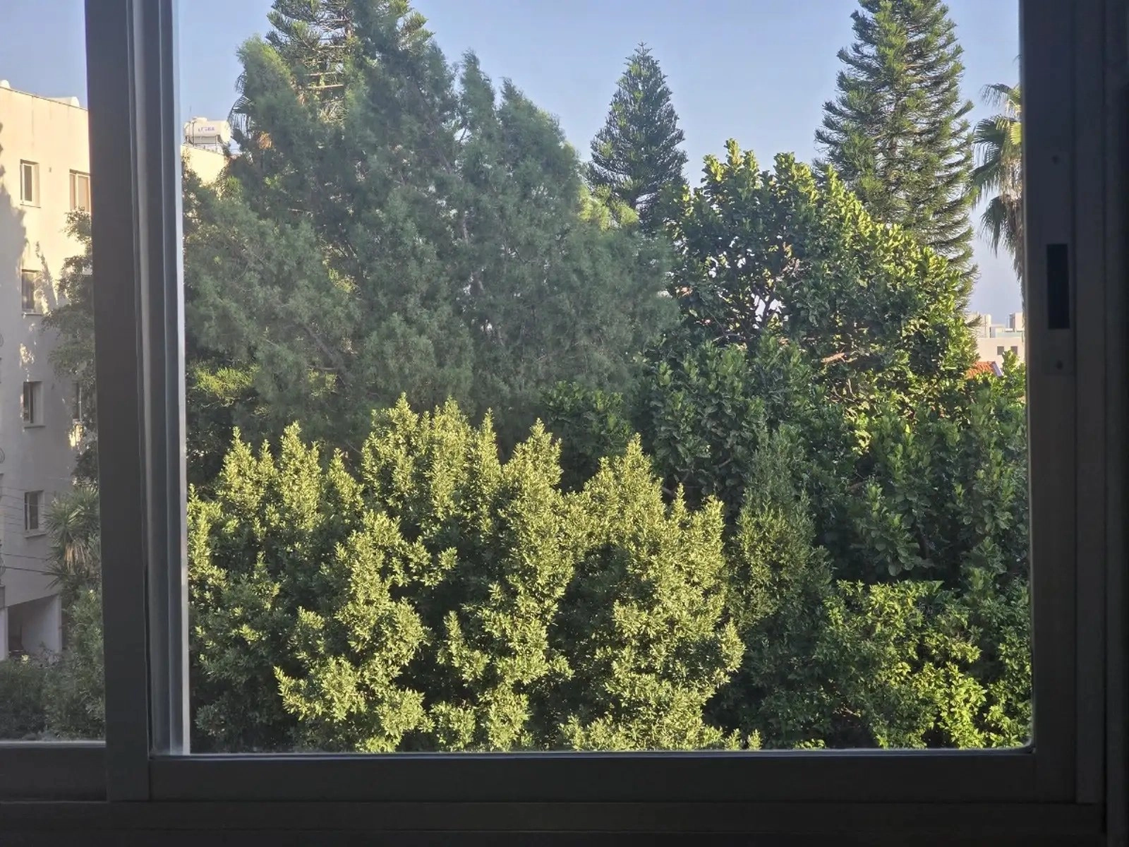 3 Bedroom Apartment for Rent in Agia Triada, Limassol District
