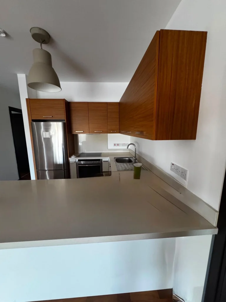 for Rent in Nicosia – Pallouriotissa