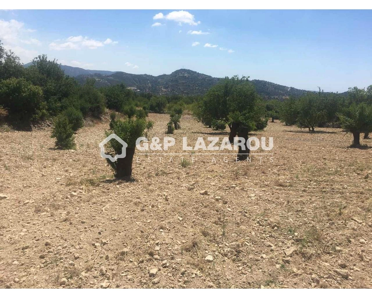 8,088m² Plot for Sale in Limnatis, Limassol District