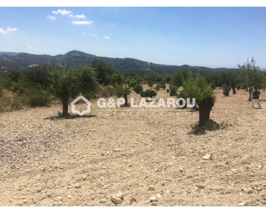 8,088m² Plot for Sale in Limnatis, Limassol District