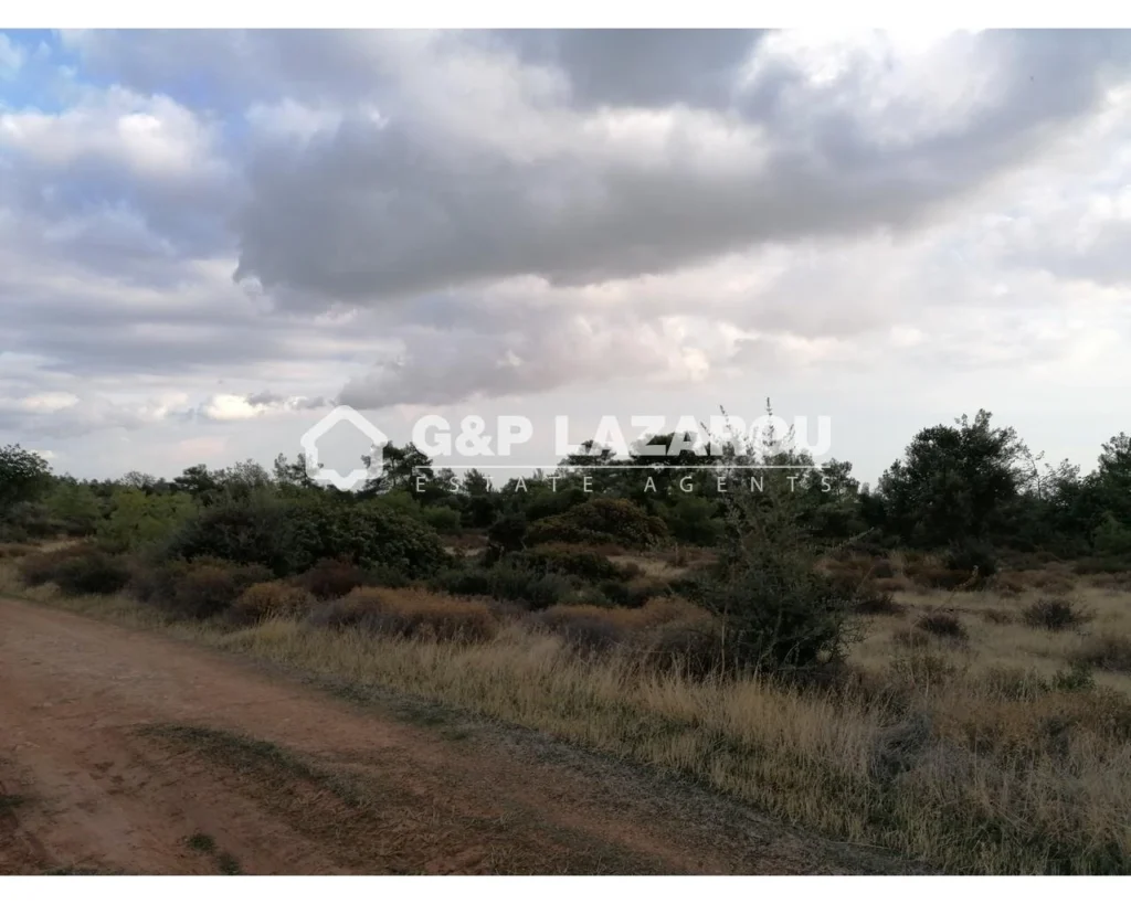 16,054m² Plot for Sale in Souni, Limassol District