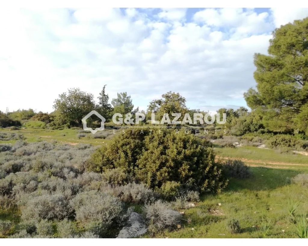 18,508m² Plot for Sale in Souni, Limassol District