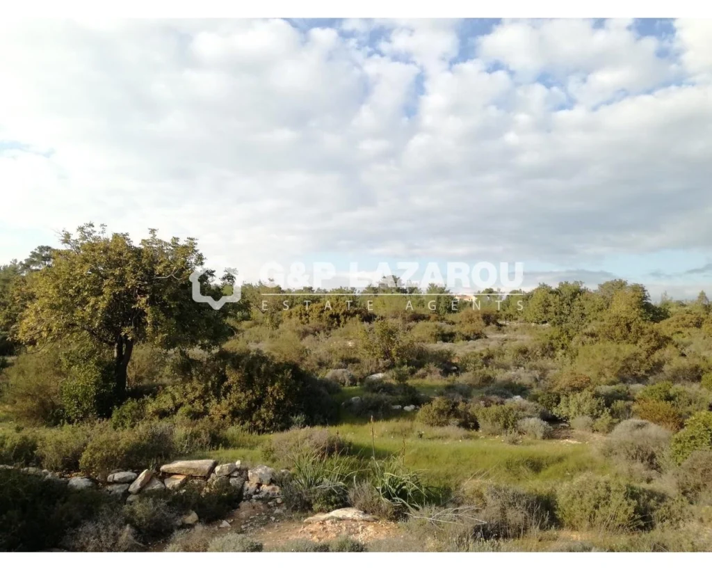 18,508m² Plot for Sale in Souni, Limassol District