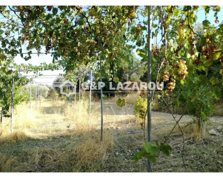 2,007m² Plot for Sale in Agios Georgios Silikou, Limassol District