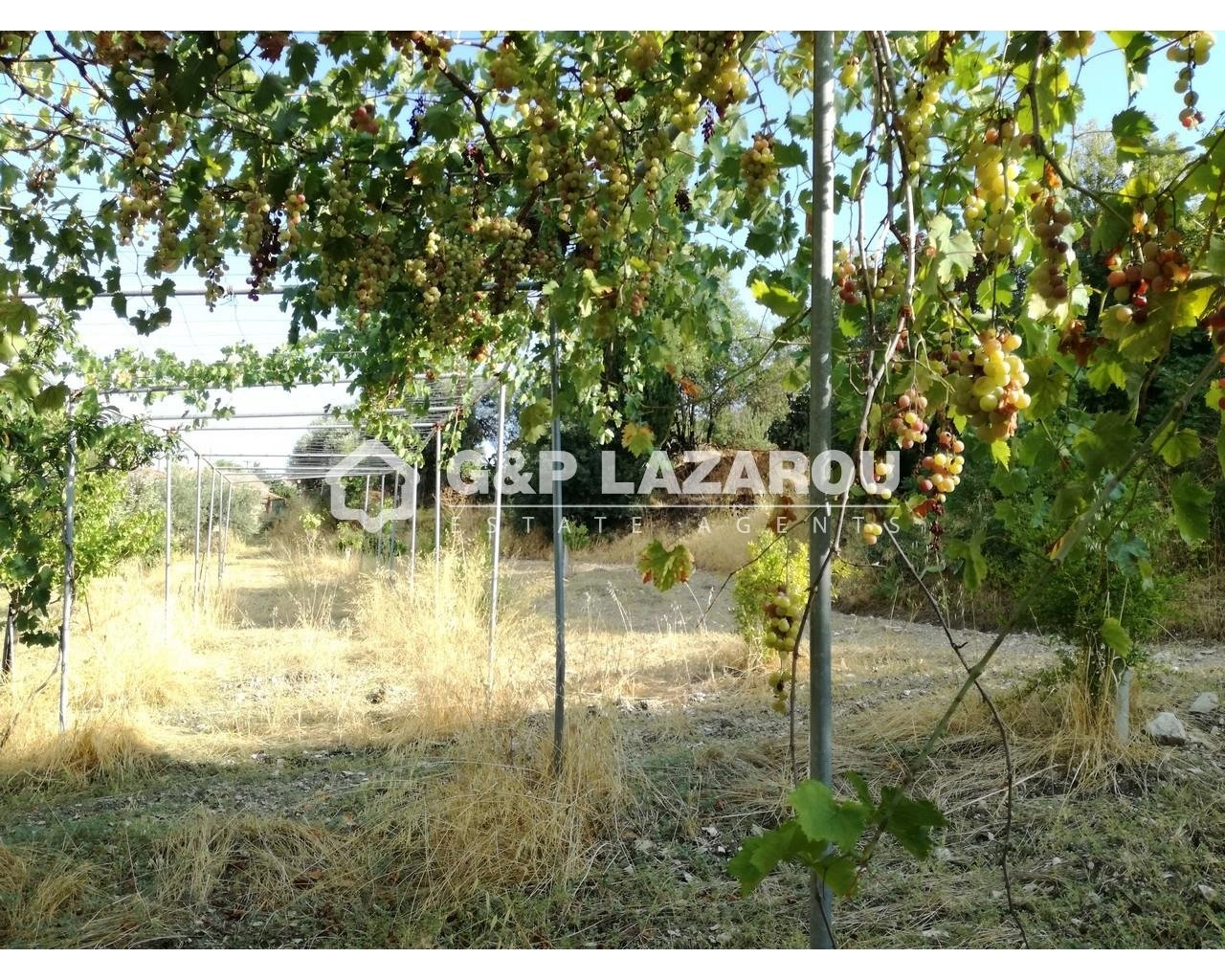 2,007m² Plot for Sale in Agios Georgios Silikou, Limassol District