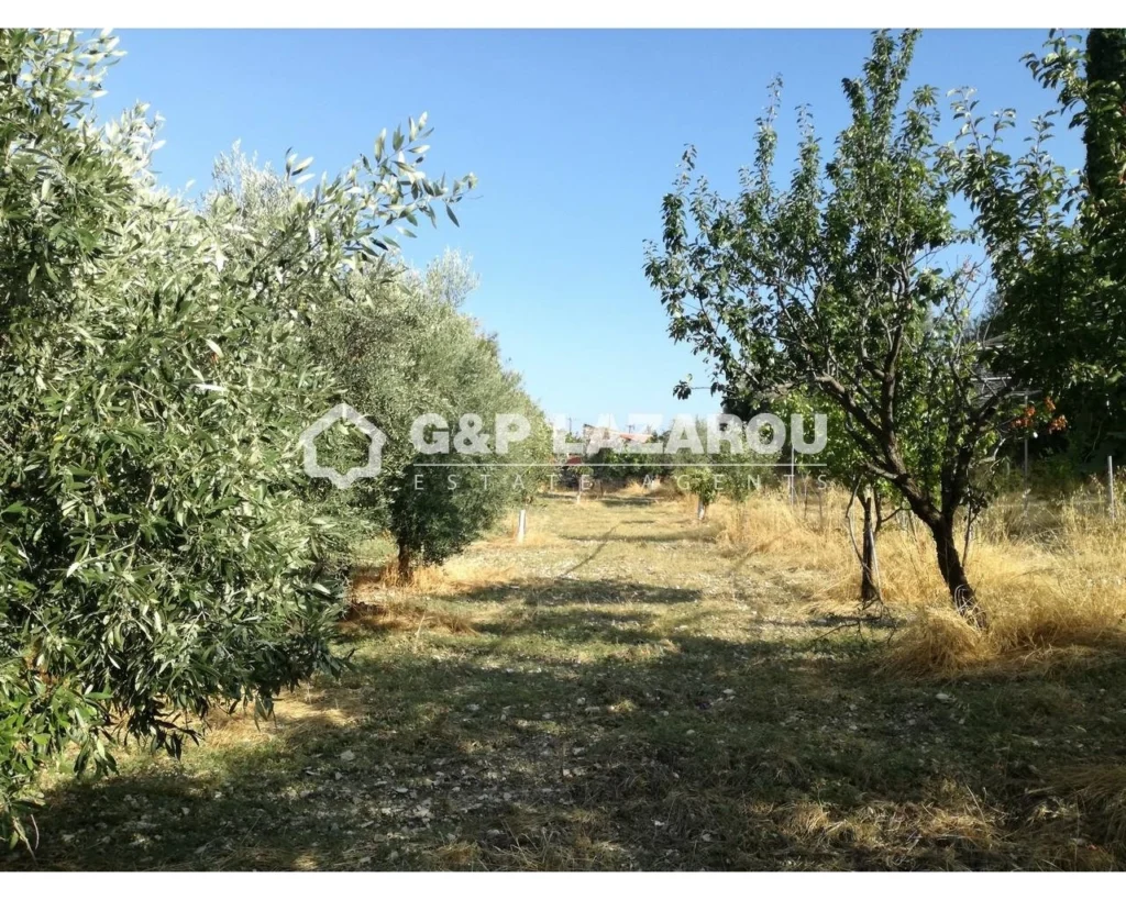 2,007m² Plot for Sale in Agios Georgios Silikou, Limassol District