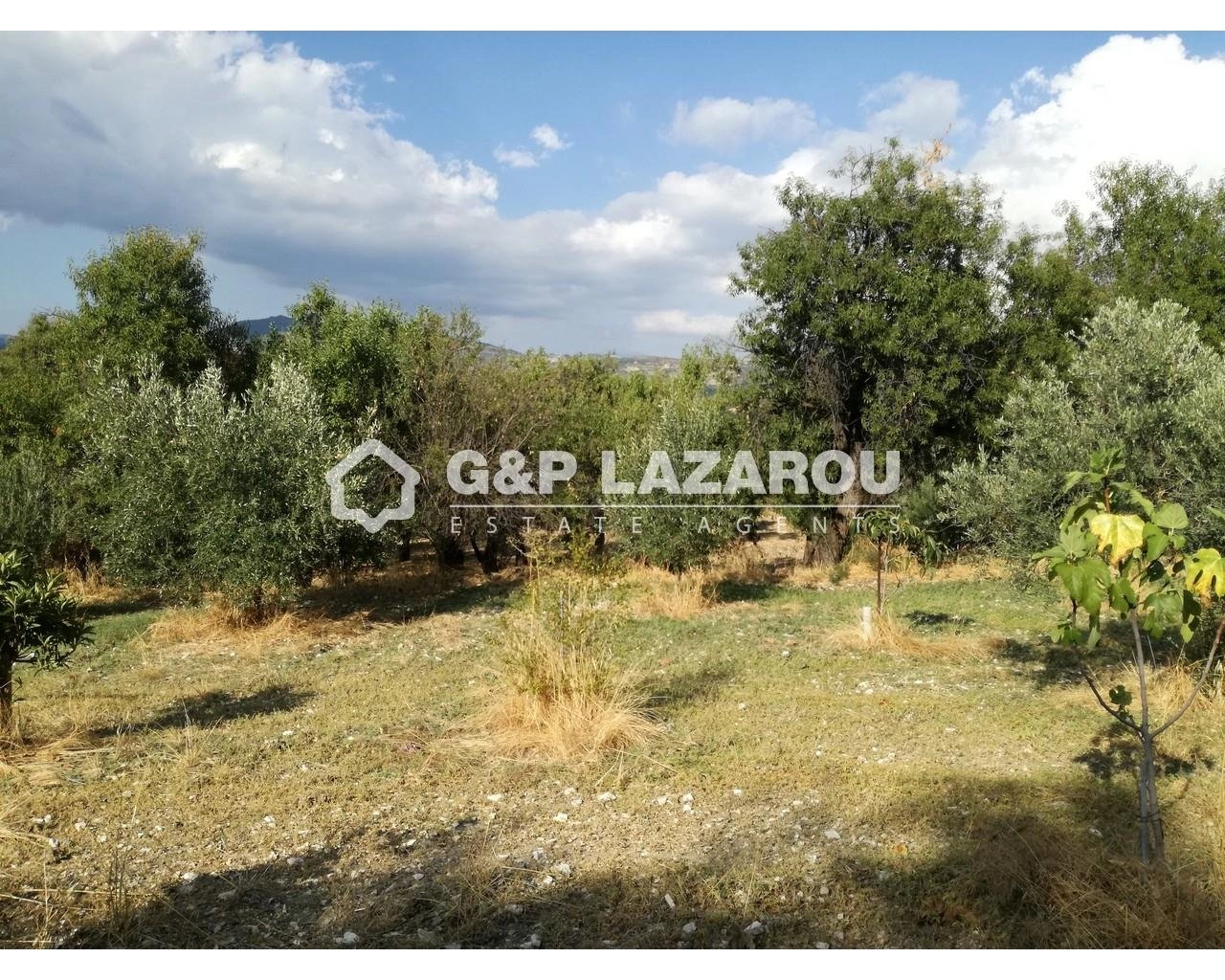 2,007m² Plot for Sale in Agios Georgios Silikou, Limassol District