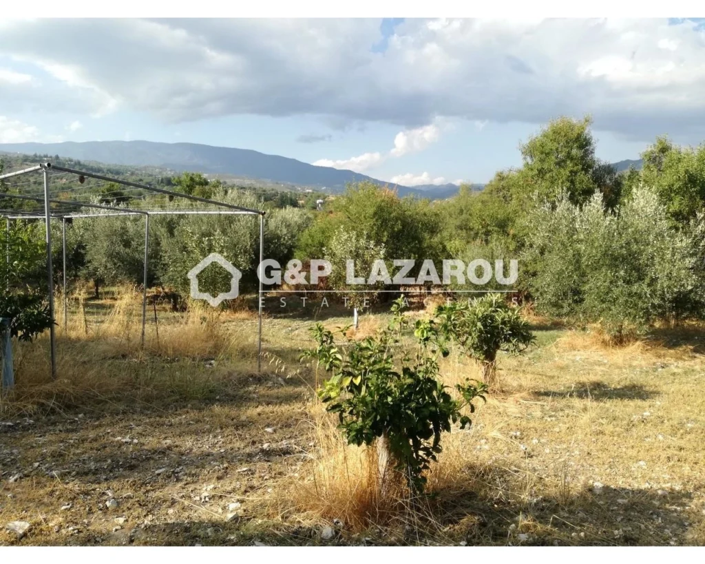 2,007m² Plot for Sale in Agios Georgios Silikou, Limassol District
