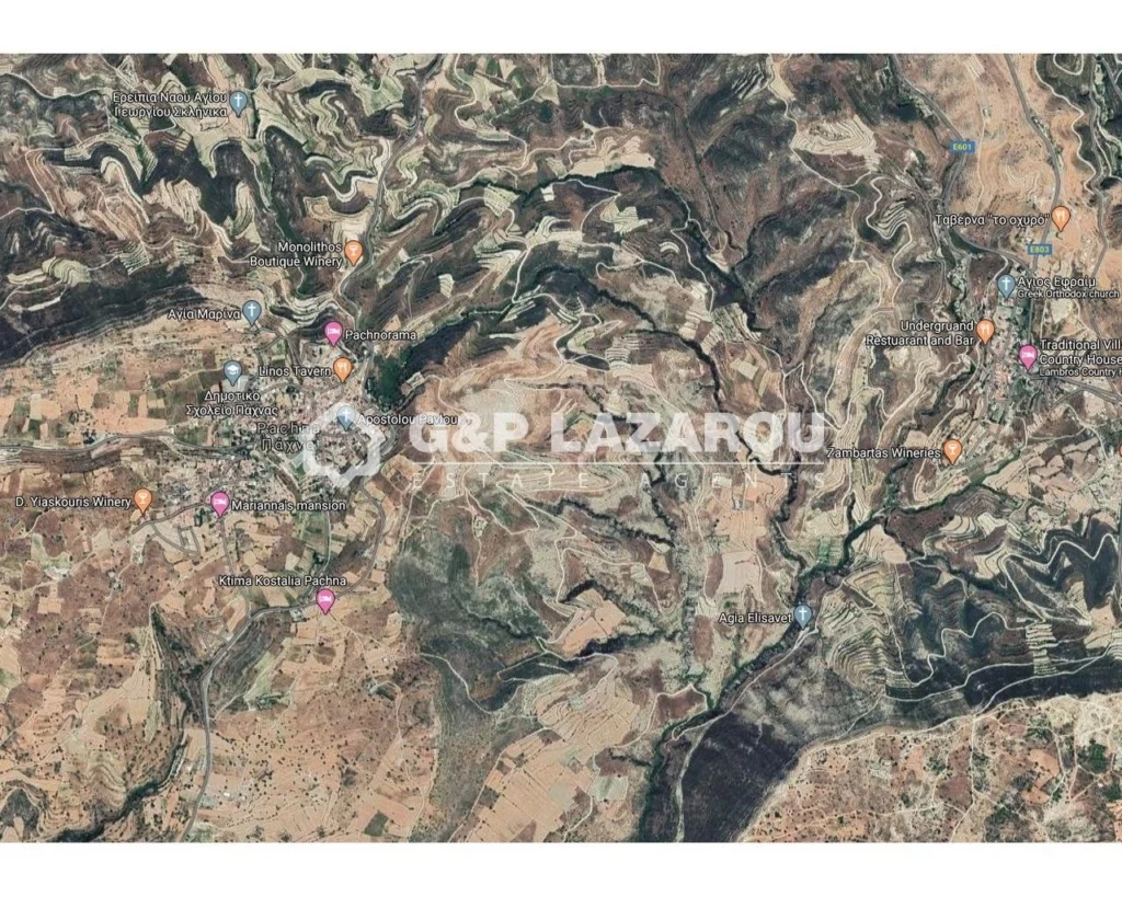 10,005m² Plot for Sale in Pachna, Limassol District