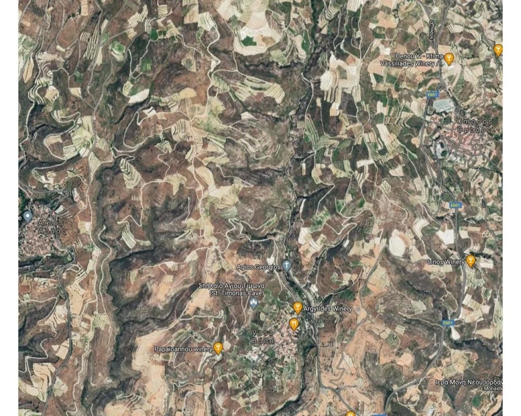 3,011m² Plot for Sale in Vasa Koilaniou, Limassol District