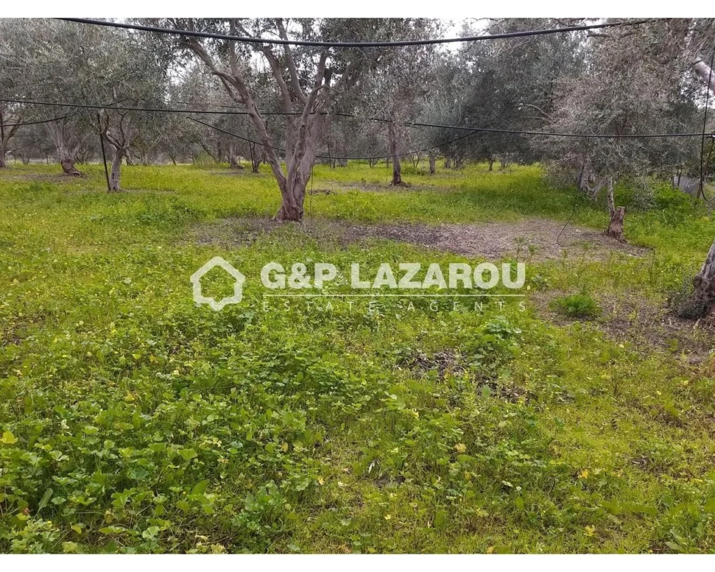 26,088m² Plot for Sale in Moni, Limassol District