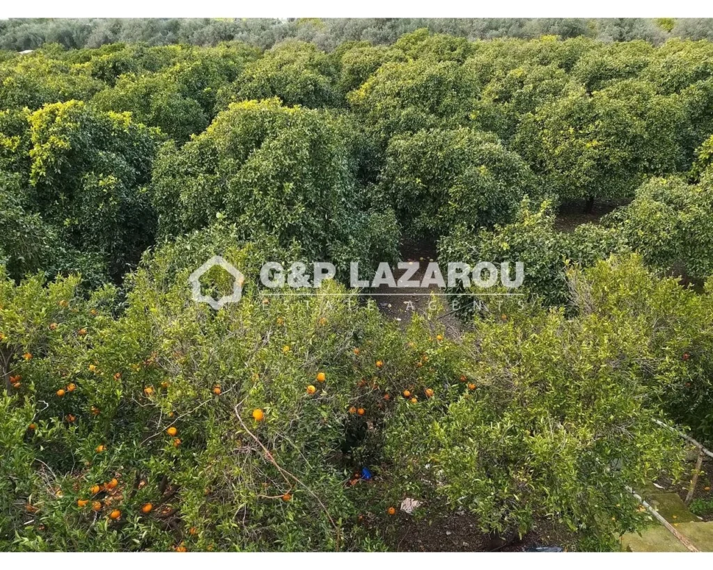 26,088m² Plot for Sale in Moni, Limassol District