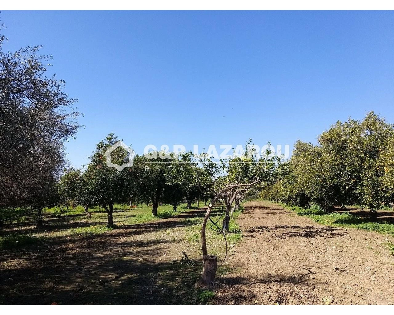 26,088m² Plot for Sale in Moni, Limassol District