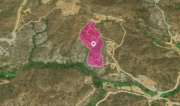 21,406m² Plot for Sale in Vasa Kellakiou, Limassol District