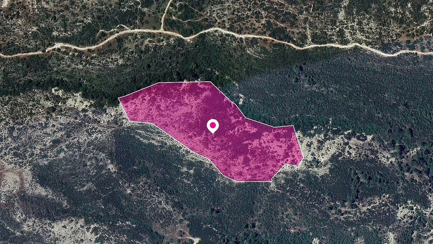 45,820m² Plot for Sale in Platanisteia, Limassol District