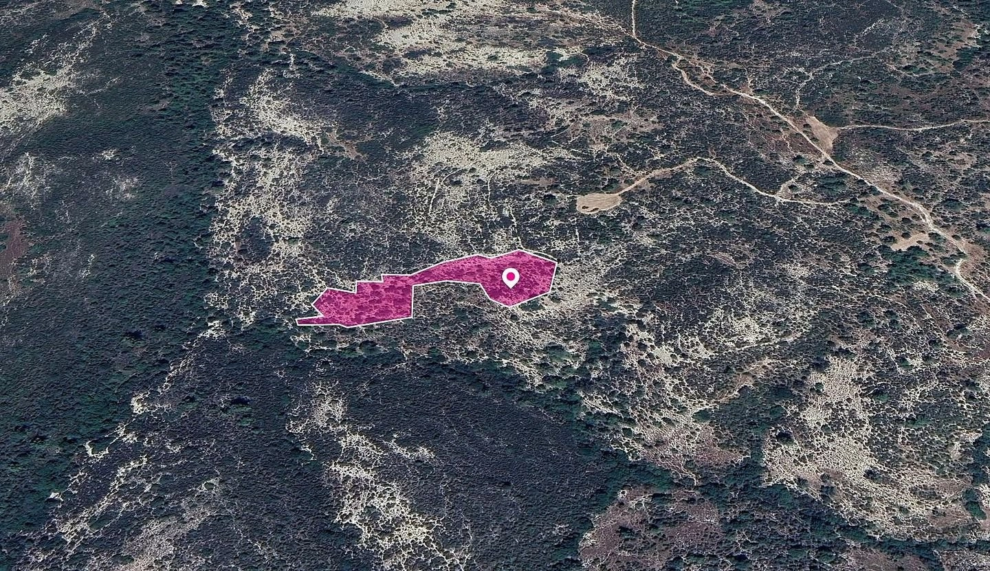 7,358m² Plot for Sale in Anogyra, Limassol District