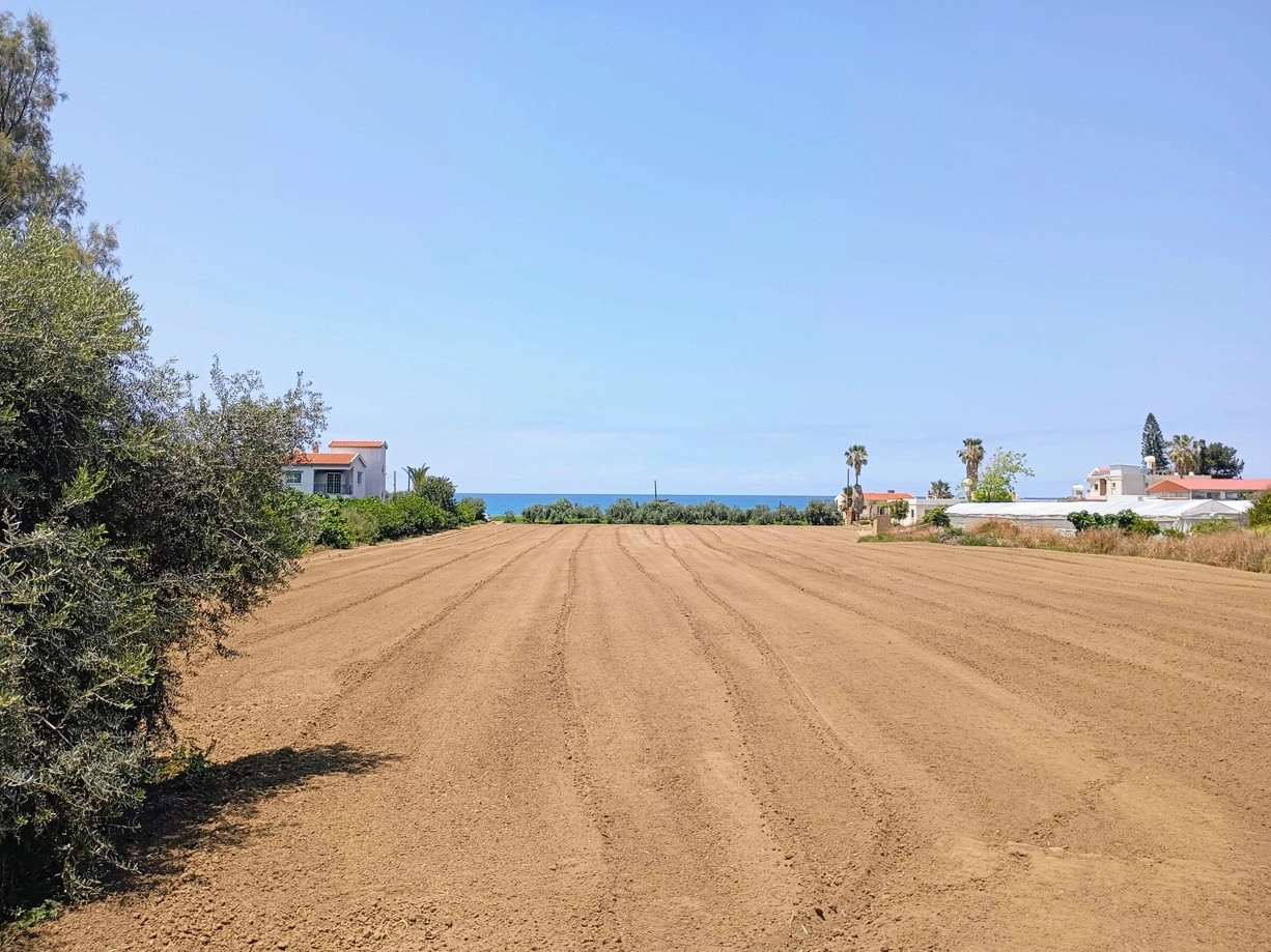 for Sale in Agia Marina Chrysochous, Paphos District