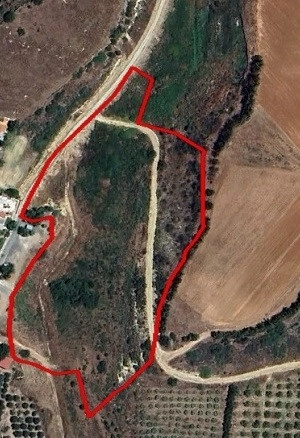 for Sale in Kouklia, Paphos District