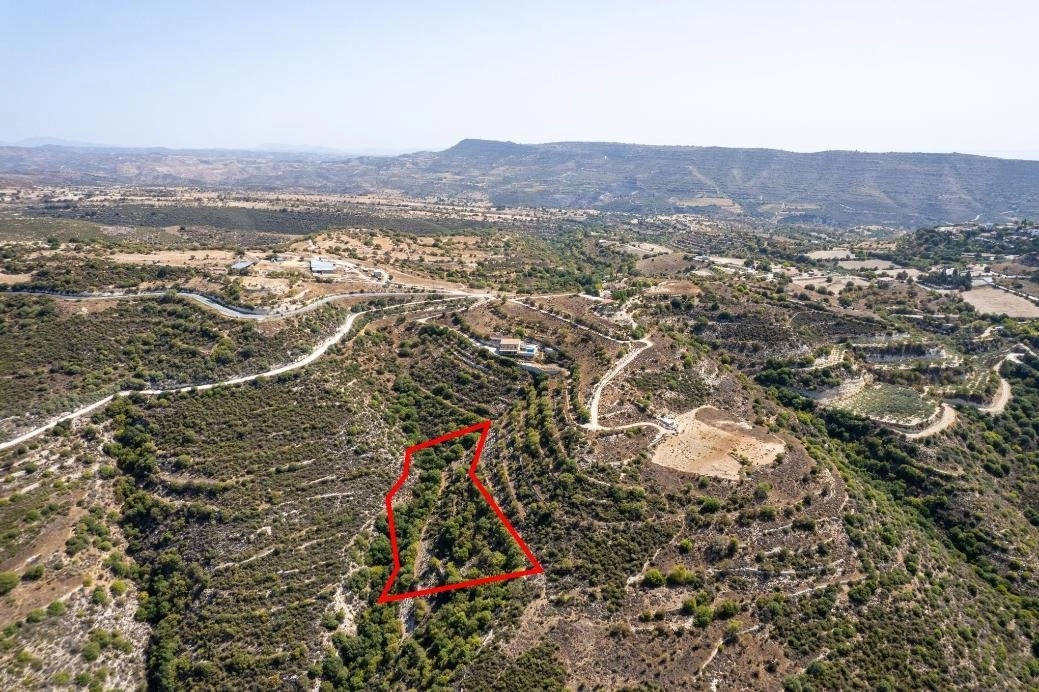 9,031m² Plot for Sale in Dora, Limassol District
