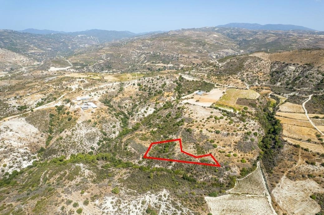 6,875m² Plot for Sale in Dora, Limassol District