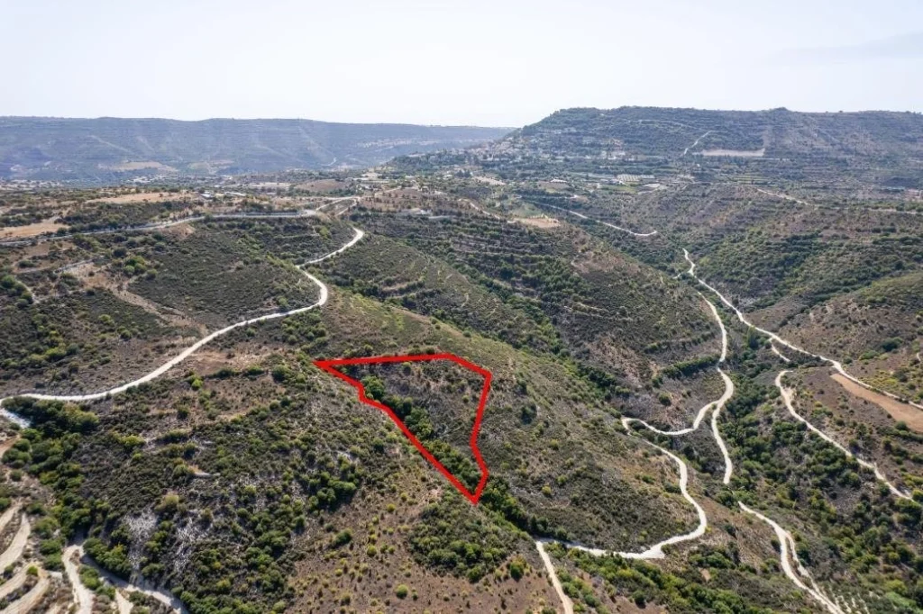 11,037m² Plot for Sale in Dora, Limassol District
