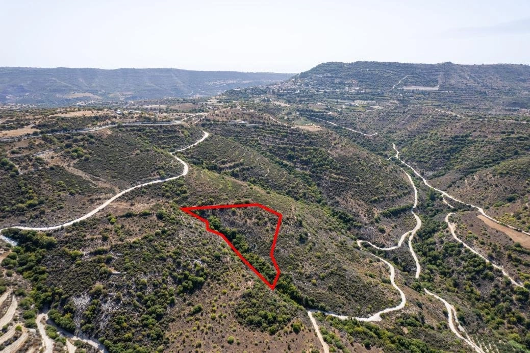 11,037m² Plot for Sale in Dora, Limassol District