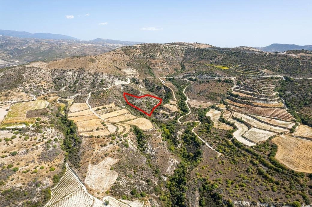 11,706m² Plot for Sale in Dora, Limassol District