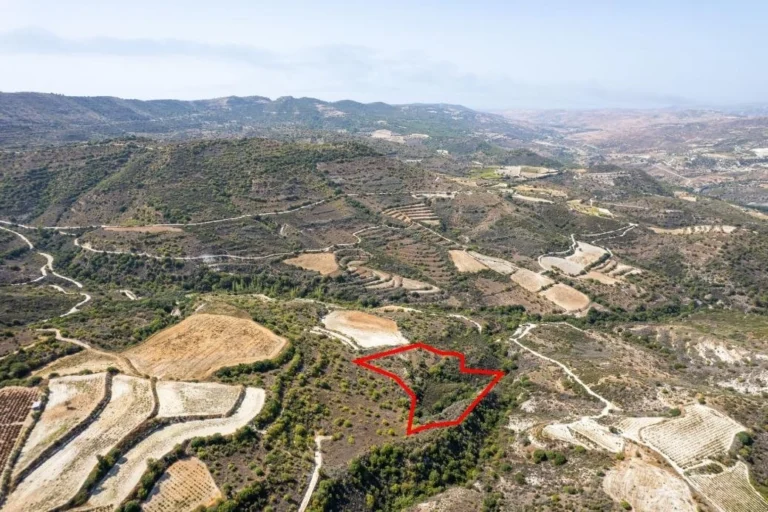 10,368m² Plot for Sale in Dora, Limassol District