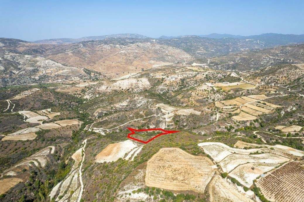 10,368m² Plot for Sale in Dora, Limassol District