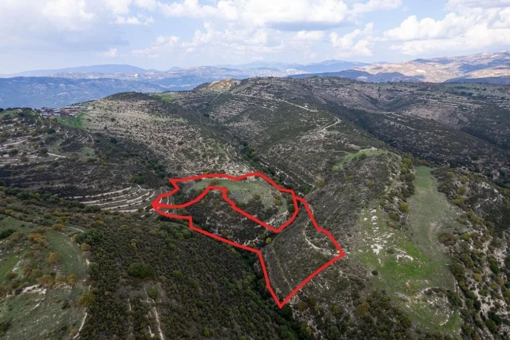 23,413m² Plot for Sale in Dora, Limassol District