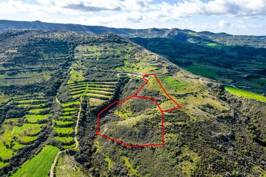 17,559m² Plot for Sale in Dora, Limassol District