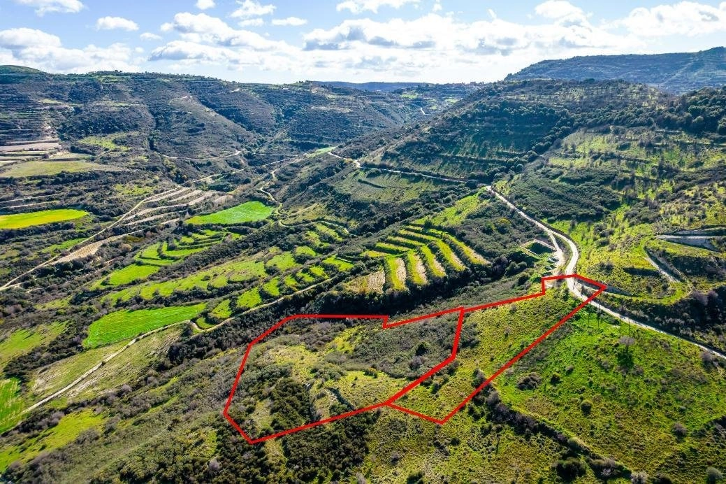 17,559m² Plot for Sale in Dora, Limassol District