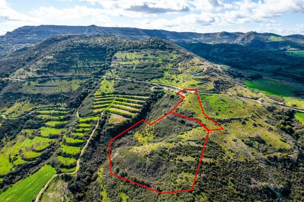 17,559m² Plot for Sale in Dora, Limassol District
