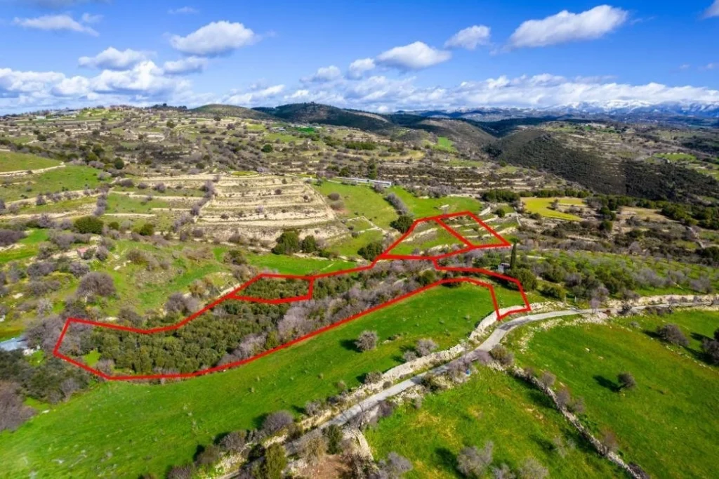 16,545m² Plot for Sale in Dora, Limassol District