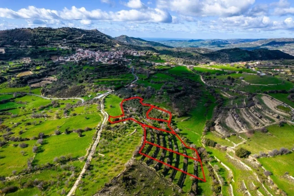 16,545m² Plot for Sale in Dora, Limassol District