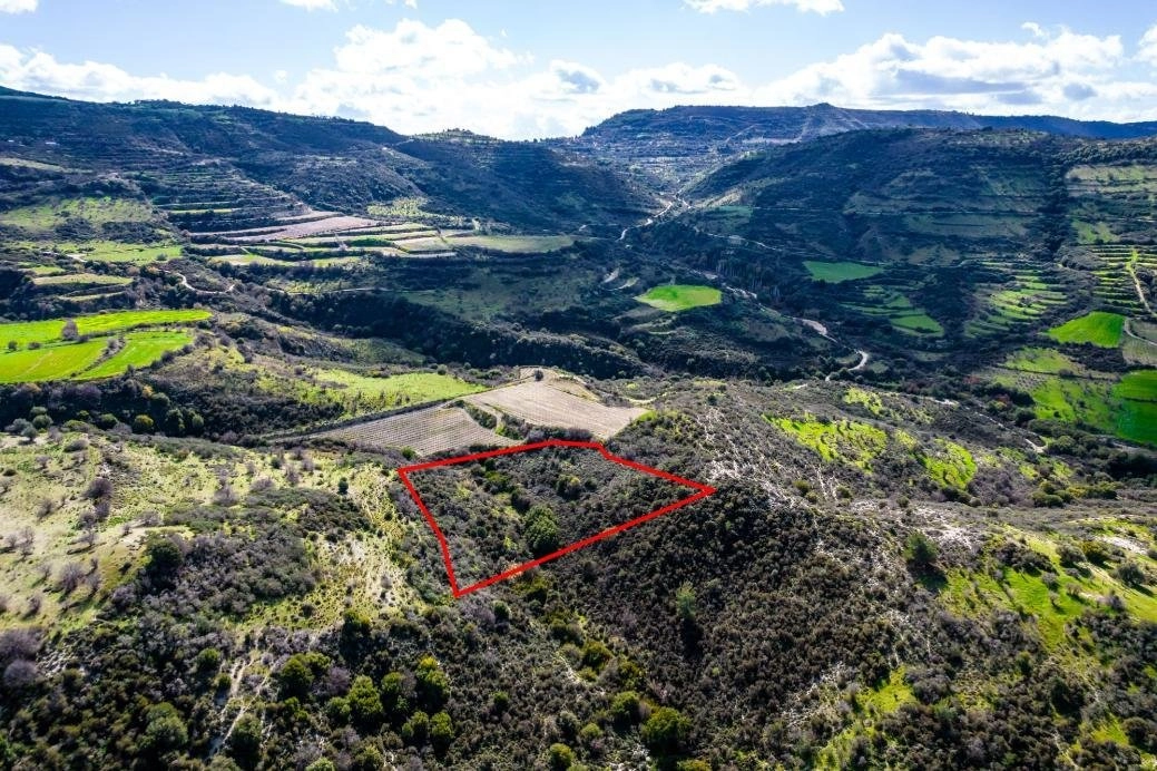 7,358m² Plot for Sale in Dora, Limassol District