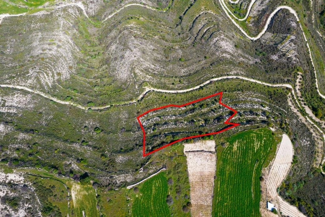 8,504m² Plot for Sale in Pachna, Limassol District