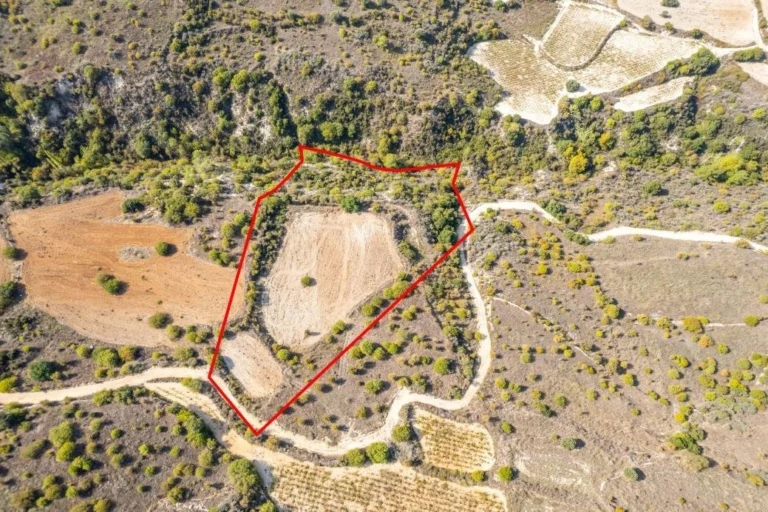 14,047m² Plot for Sale in Dora, Limassol District