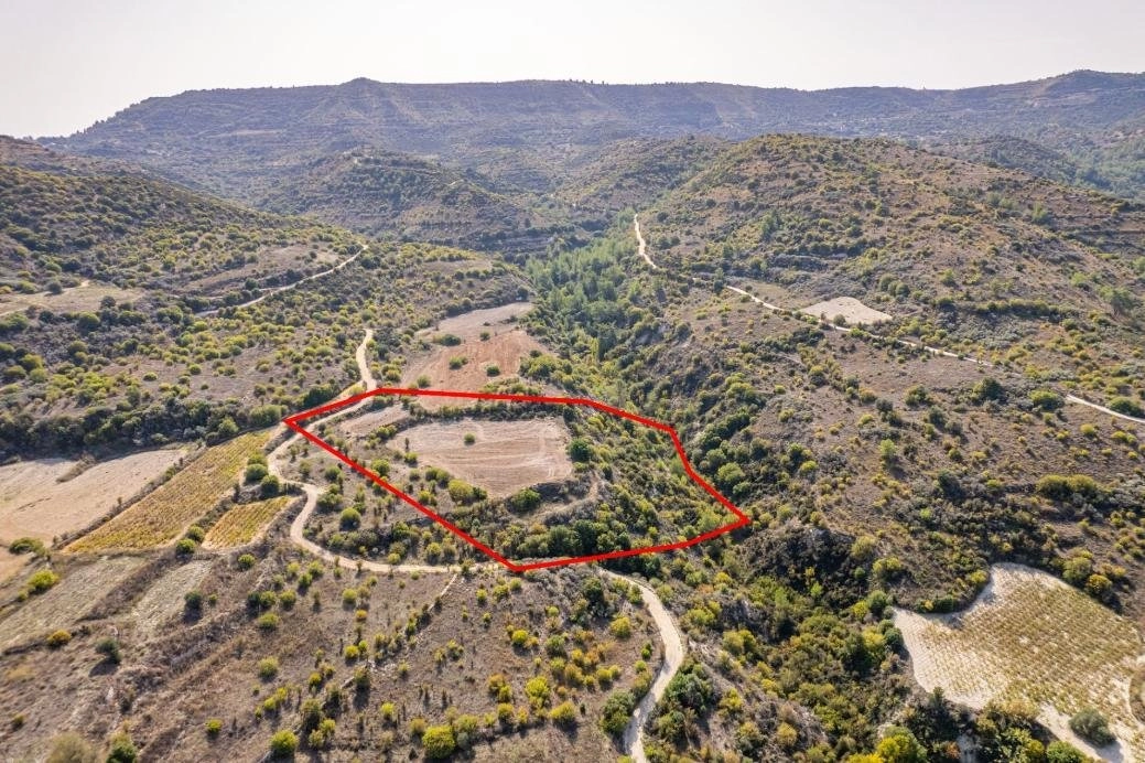 14,047m² Plot for Sale in Dora, Limassol District