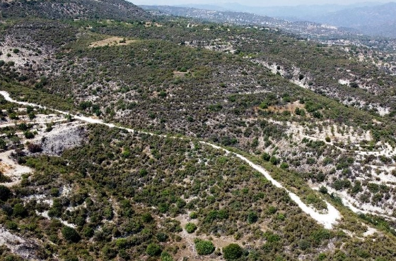 11,102m² Plot for Sale in Laneia, Limassol District