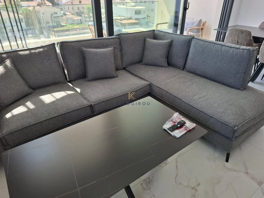 2 Bedroom Apartment for Rent in Larnaca District
