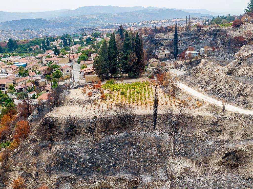 5,017m² Plot for Sale in Vasa Koilaniou, Limassol District