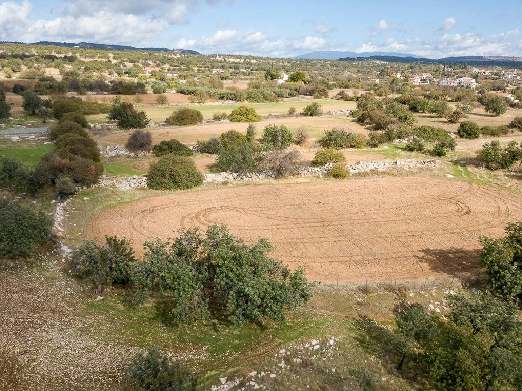 10,703m² Plot for Sale in Anogyra, Limassol District