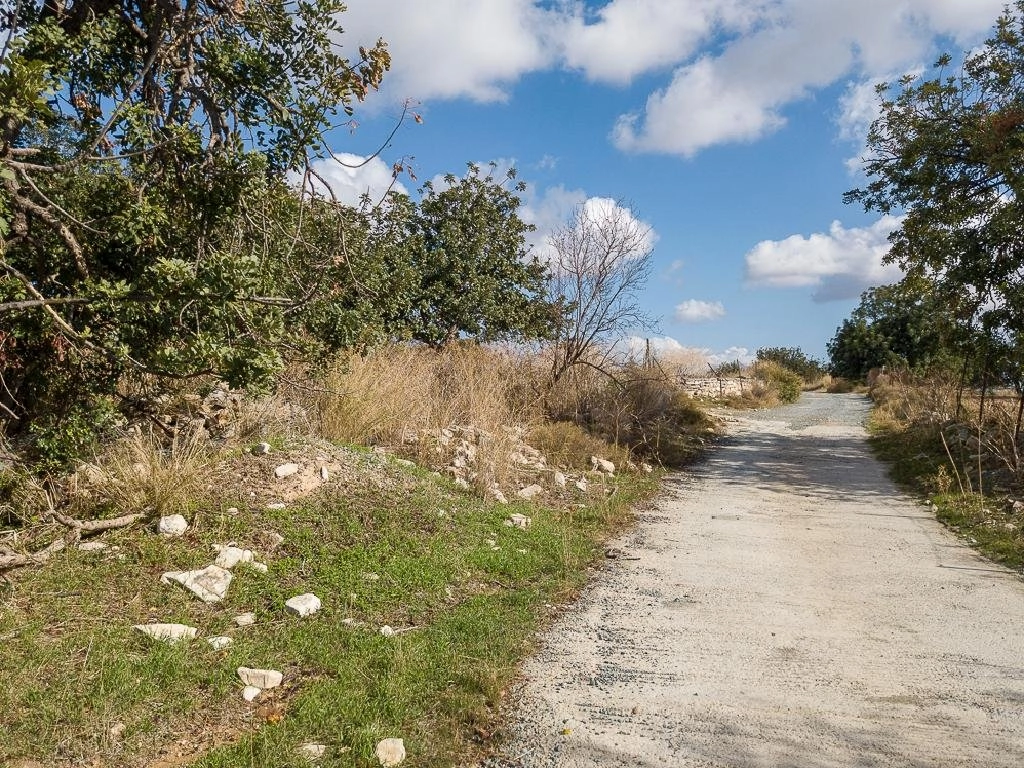 10,703m² Plot for Sale in Anogyra, Limassol District