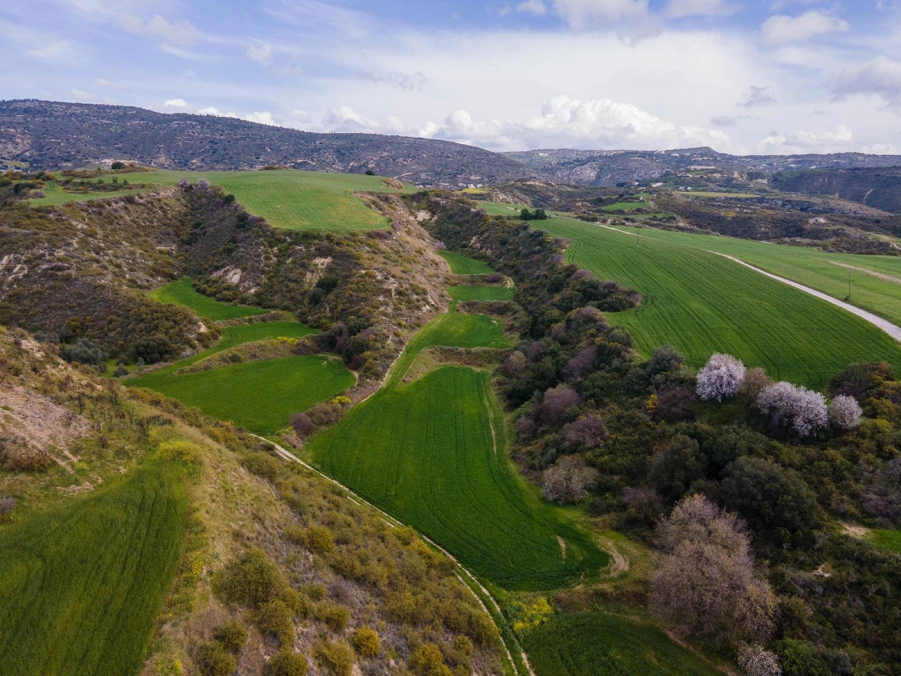 27,425m² Plot for Sale in Steni, Paphos District